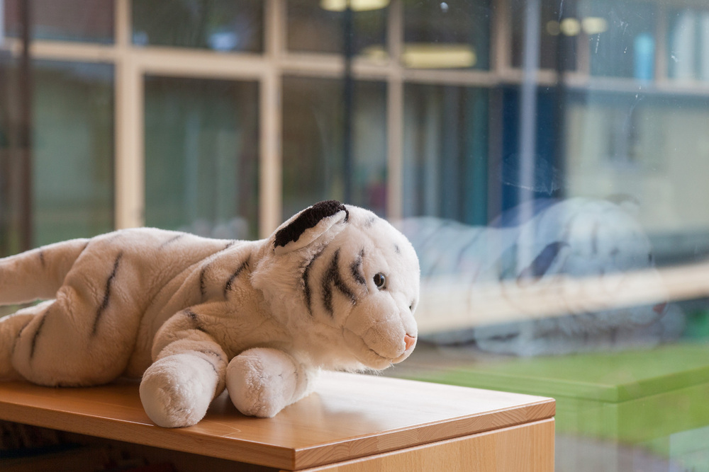 (C) Rainer Wührer, Rainer Wührer