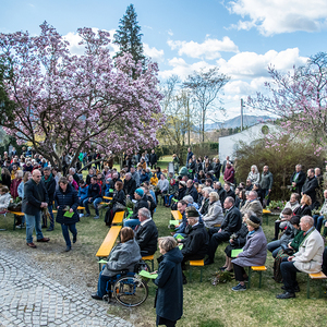 Palmsonntag 2022 am Kirchberg von Deutschfeistritz / Johannes Pötscher Palmsonntag 2022 am Kirchberg von Deutschfeistritz