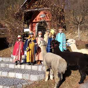 Die Sternsinger waren unterwegs!