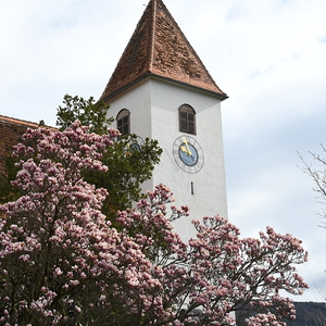 Kartage und Auferstehung in der Pfarre Deutschfeistritz