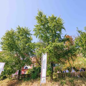 Sonntagsblatt/Gerd Neuhold, Gerd Neuhold