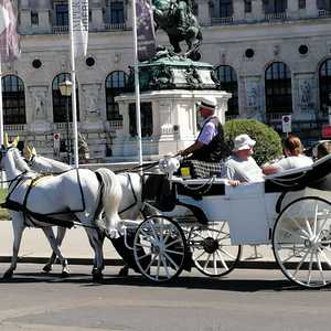 Pfarrausflug nach Wien