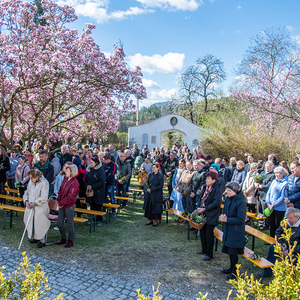 Palmsonntag 2022 am Kirchberg von Deutschfeistritz / Johannes Pötscher Palmsonntag 2022 am Kirchberg von Deutschfeistritz