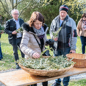 Palmsonntag 2022 am Kirchberg von Deutschfeistritz