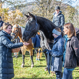 Pfarrfest 2023 in Deutschfeistritz