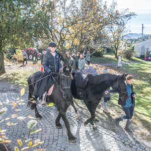 Pfarrfest 2023 in Deutschfeistritz / Johannes Pötscher Pfarrfest 2023 in Deutschfeistritz