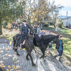 Pfarrfest 2023 in Deutschfeistritz