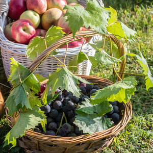 Erntedankfest auf dem Kirchberg von Deutschfeistritz